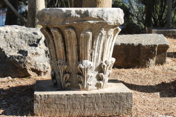 Miranz Tours, Delphi flower post